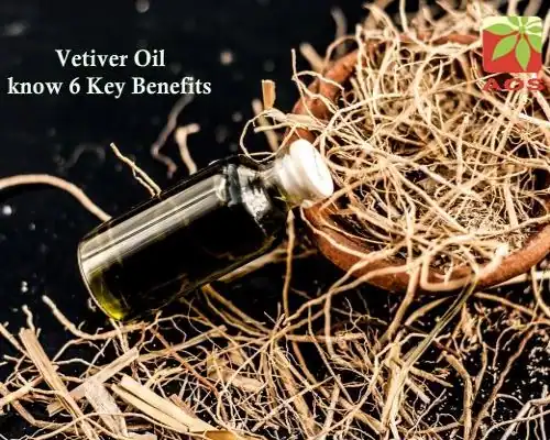 Vetiver Oil Benefits